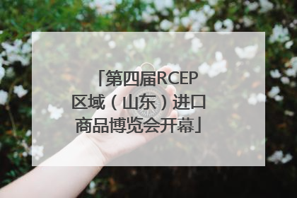 第四届RCEP区域（山东）进口商品博览会开幕
