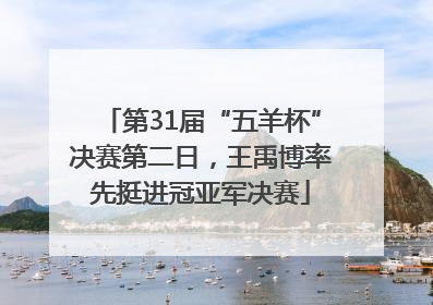 第31届“五羊杯”决赛第二日，王禹博率先挺进冠亚军决赛