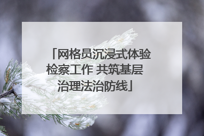 网格员沉浸式体验检察工作 共筑基层治理法治防线