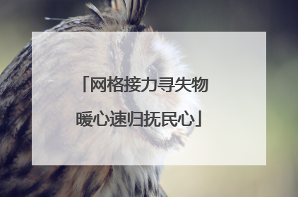 网格接力寻失物 暖心速归抚民心