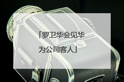 罗卫华会见华为公司客人