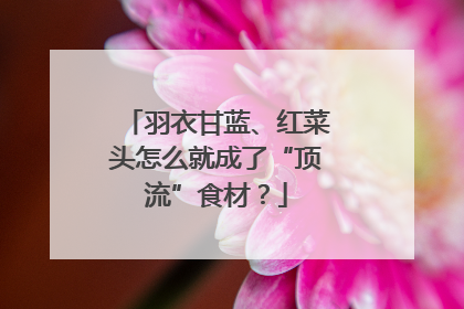 羽衣甘蓝、红菜头怎么就成了“顶流”食材？