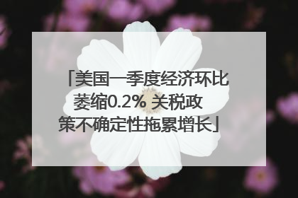 美国一季度经济环比萎缩0.2% 关税政策不确定性拖累增长