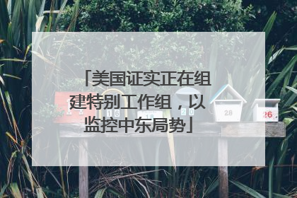 美国证实正在组建特别工作组，以监控中东局势