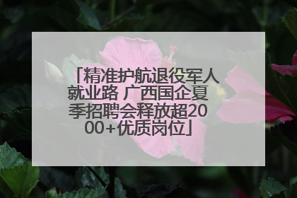 精准护航退役军人就业路 广西国企夏季招聘会释放超2000+优质岗位