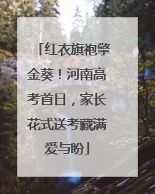 红衣旗袍擎金葵！河南高考首日，家长花式送考藏满爱与盼