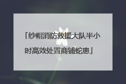 纱帽消防救援大队半小时高效处置商铺蛇患