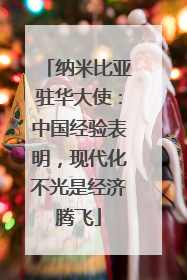 纳米比亚驻华大使：中国经验表明，现代化不光是经济腾飞