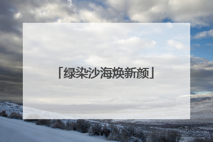 绿染沙海焕新颜