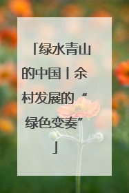 绿水青山的中国丨余村发展的“绿色变奏”