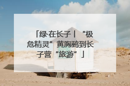 绿·在长子丨“极危精灵”黄胸鹀到长子营“旅游”