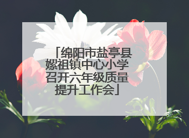 绵阳市盐亭县嫘祖镇中心小学召开六年级质量提升工作会