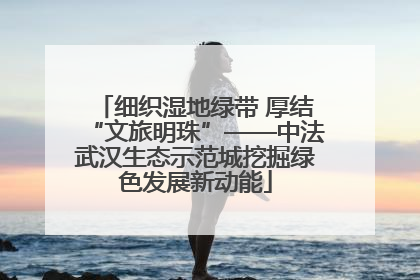 细织湿地绿带 厚结“文旅明珠”——中法武汉生态示范城挖掘绿色发展新动能