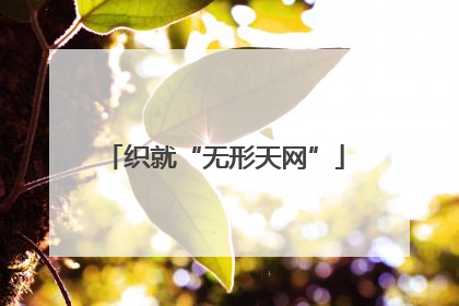 织就“无形天网”