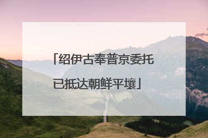 绍伊古奉普京委托已抵达朝鲜平壤