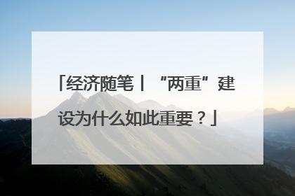 经济随笔丨“两重”建设为什么如此重要？