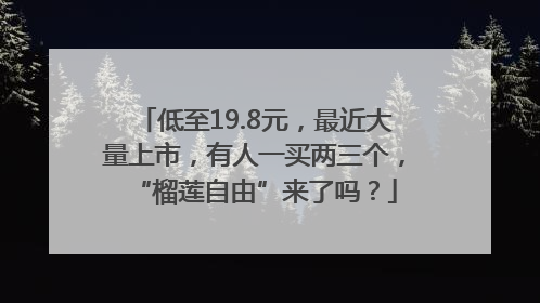 低至19.8元，最近大量上市，有人一买两三个，“榴莲自由”来了吗？
