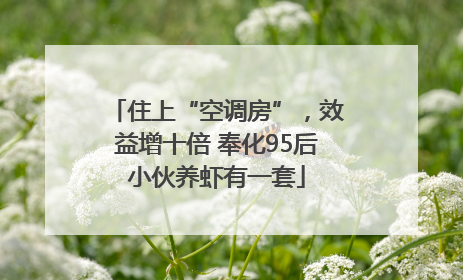 住上“空调房”，效益增十倍 奉化95后小伙养虾有一套