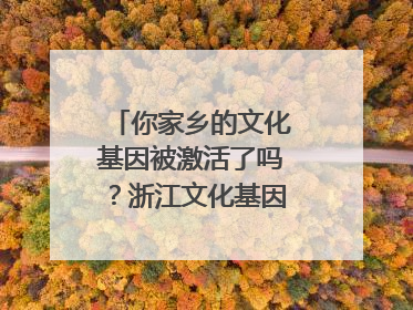 你家乡的文化基因被激活了吗？浙江文化基因图谱即将上线