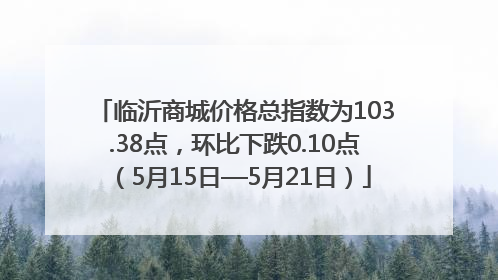 临沂商城价格总指数为103.38点，环比下跌0.10点（5月15日—5月21日）