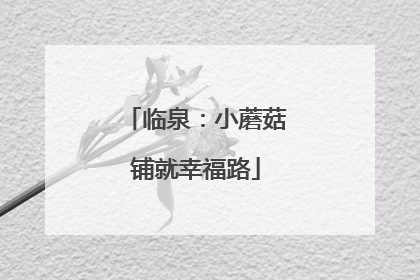 临泉：小蘑菇铺就幸福路
