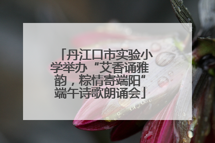 丹江口市实验小学举办“艾香诵雅韵，粽情寄端阳”端午诗歌朗诵会