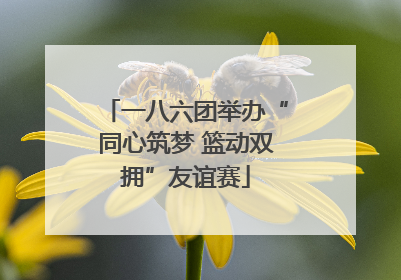 一八六团举办“同心筑梦 篮动双拥”友谊赛