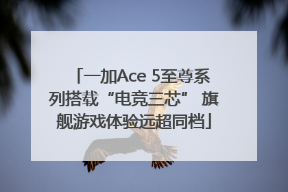 一加Ace 5至尊系列搭载“电竞三芯” 旗舰游戏体验远超同档