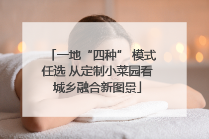 一地“四种” 模式任选 从定制小菜园看城乡融合新图景