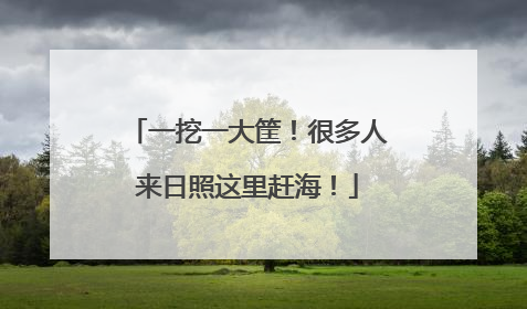 一挖一大筐！很多人来日照这里赶海！