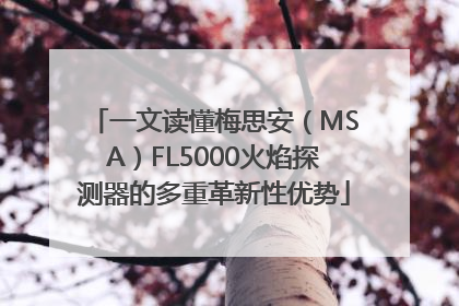一文读懂梅思安（MSA）FL5000火焰探测器的多重革新性优势