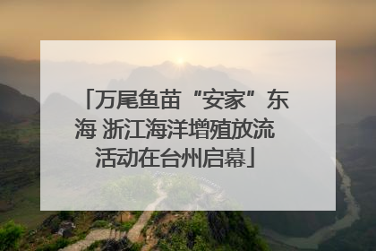 万尾鱼苗“安家”东海 浙江海洋增殖放流活动在台州启幕