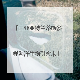 三亚亚特兰蒂斯多样海洋生物引客来