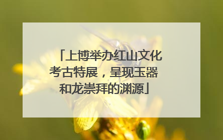 上博举办红山文化考古特展，呈现玉器和龙崇拜的渊源