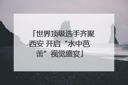 世界顶级选手齐聚西安 开启“水中芭蕾”视觉盛宴