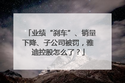 业绩“刹车”、销量下降、子公司被罚，雅迪控股怎么了？