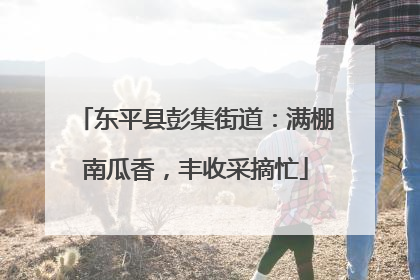 东平县彭集街道：满棚南瓜香，丰收采摘忙