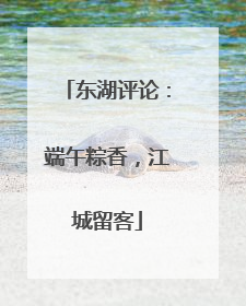 东湖评论：端午粽香，江城留客