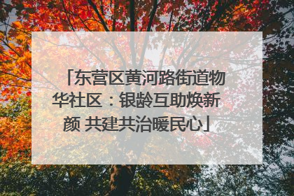 东营区黄河路街道物华社区：银龄互助焕新颜 共建共治暖民心