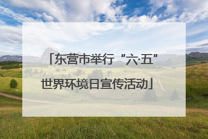 东营市举行“六·五”世界环境日宣传活动