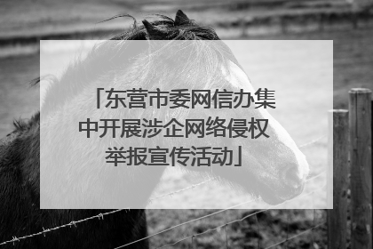 东营市委网信办集中开展涉企网络侵权举报宣传活动