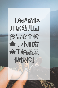 东西湖区开展幼儿园食品安全检查，小朋友亲手给蔬菜做快检
