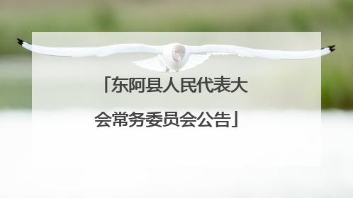 东阿县人民代表大会常务委员会公告