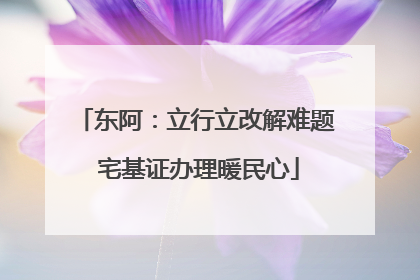 东阿：立行立改解难题 宅基证办理暖民心