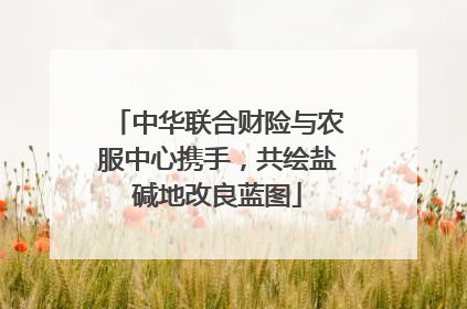 中华联合财险与农服中心携手，共绘盐碱地改良蓝图
