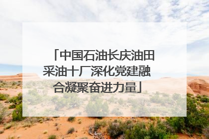中国石油长庆油田采油十厂深化党建融合凝聚奋进力量