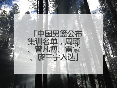 中国男篮公布集训名单，周琦、曾凡博、雷蒙、廖三宁入选