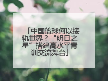 中国篮球何以接轨世界？“明日之星”搭建高水平青训交流舞台