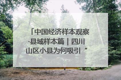 中国经济样本观察·县域样本篇｜四川山区小县为何吸引“村播”扎堆？