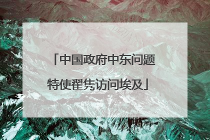 中国政府中东问题特使翟隽访问埃及